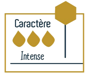 indicateur intensité