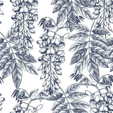 fond illustration produit