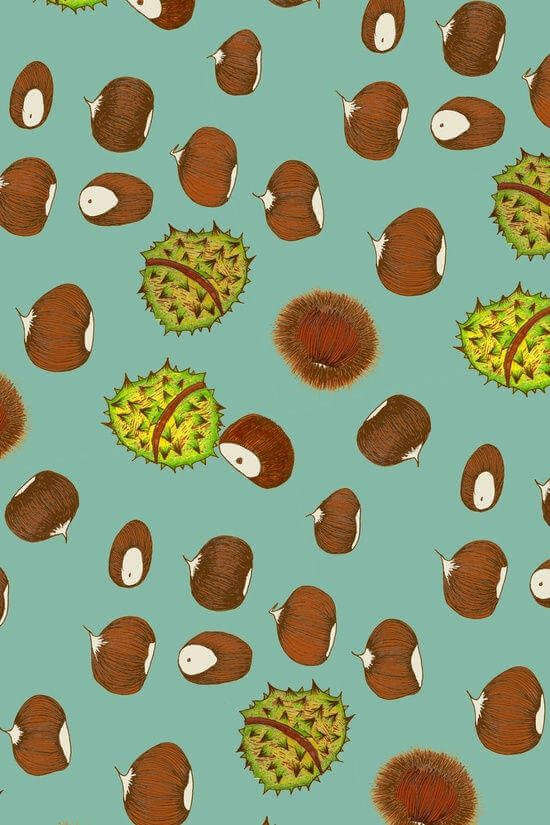 fond illustration produit