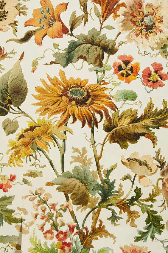 fond illustration produit