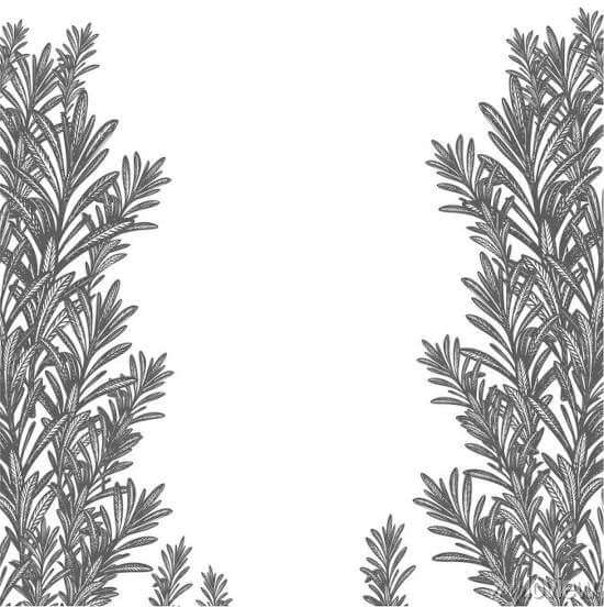 fond illustration produit