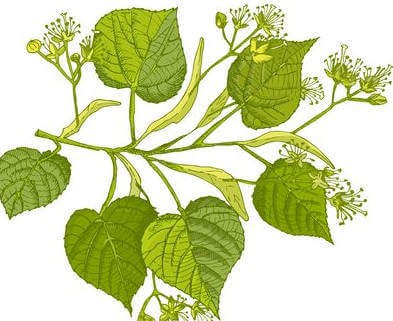 fond illustration produit